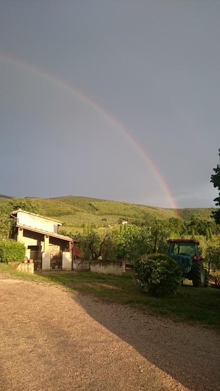 Borgo Buciardella Villa Baschi Eksteriør billede
