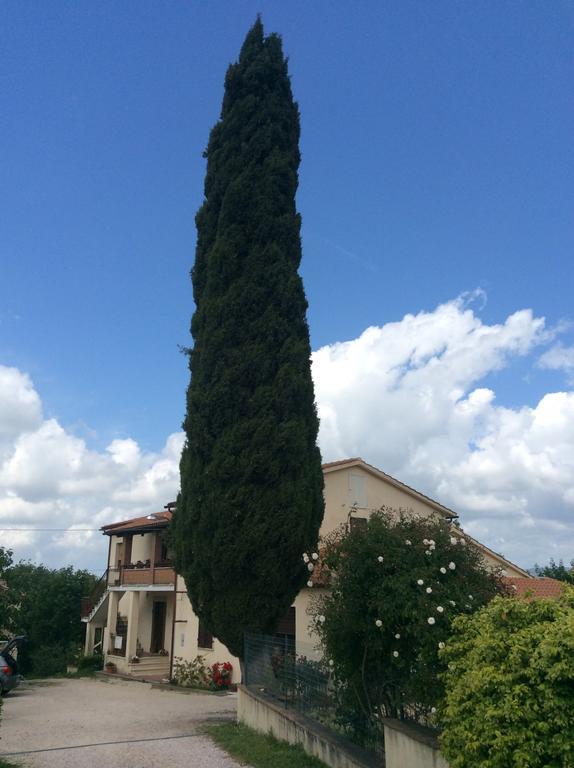 Borgo Buciardella Villa Baschi Eksteriør billede