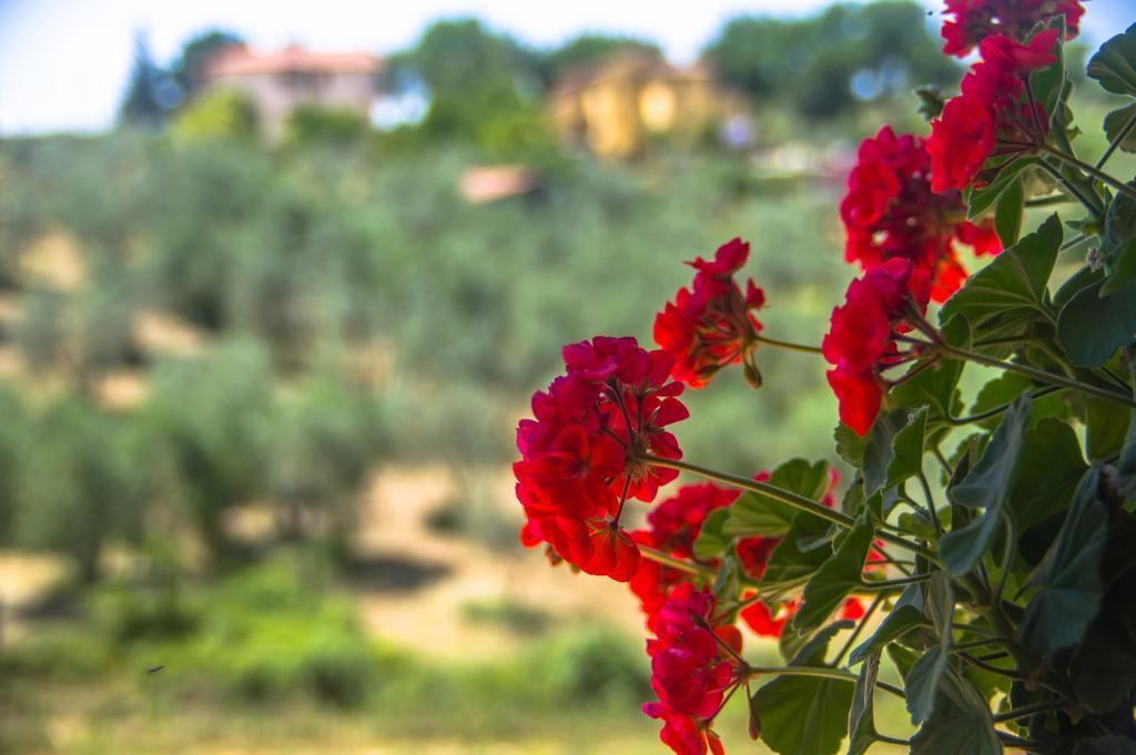Borgo Buciardella Villa Baschi Eksteriør billede